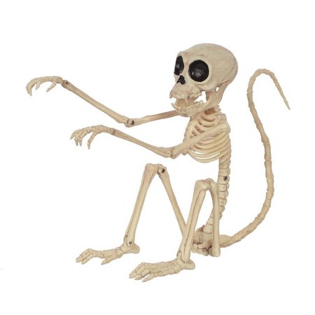 SEASONS USA Seasons 7.25 in. Skeleton Monkey Halloween Decor W82922